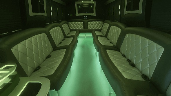 tampa 20 passenger party bus